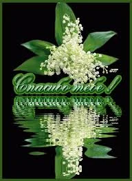 Без названия (1).webp