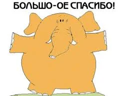 Без названия (1).webp