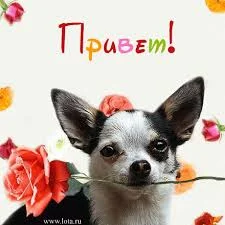 Без названия (1).webp