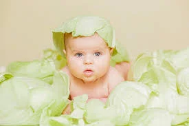 Без названия (1).webp