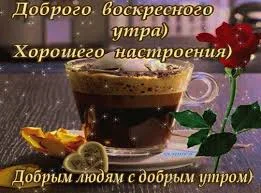 Без названия (1).webp