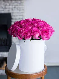 Без названия (1).webp