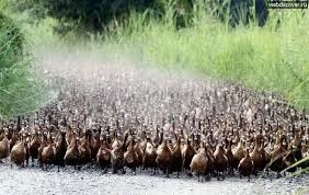 Без названия (1).webp