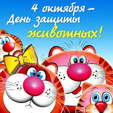 Без названия (1).webp