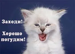 Без названия (1).webp