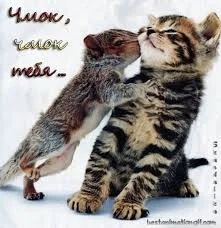 Без названия (1).webp