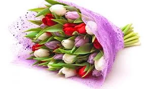 Без названия (1).webp