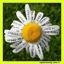 Без названия (1).webp