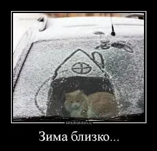 Без названия (1).webp