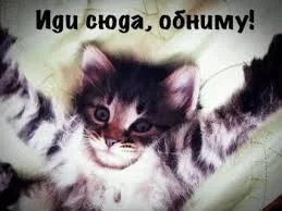 Без названия (1).webp