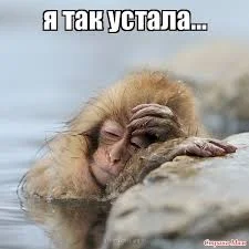 Без названия (1).webp