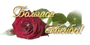 Без названия (1).webp