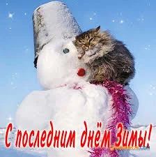 Без названия (1).webp