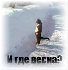 Без названия (1).webp