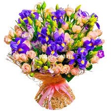 Без названия (1).webp