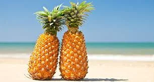 Без названия (1).webp