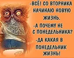 Без названия (1).webp