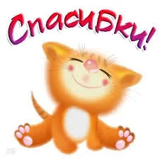 Без названия (1).webp