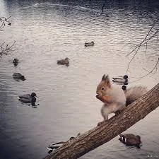 Без названия (1).webp