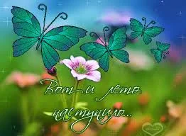 Без названия (1).webp