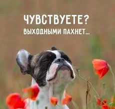 Без названия (1).webp