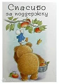 Без названия (1).webp