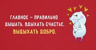 Без названия (1).webp