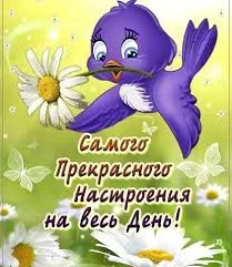 Без названия (1).webp