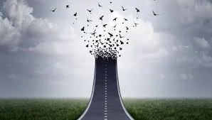 Без названия (1).webp