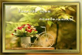 Без названия (1).webp