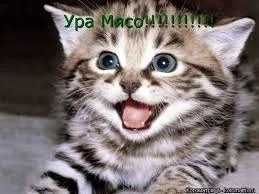 Без названия (1).webp