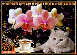 Без названия (1).webp