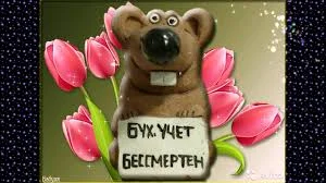 Без названия (1).webp