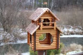 Без названия (1).webp