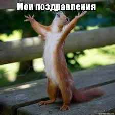 Без названия (1).webp