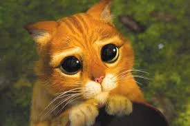 Без названия (1).webp