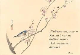 Без названия (1).webp