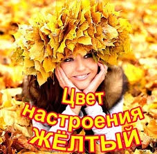 Без названия (1).webp