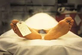 Без названия (1).webp