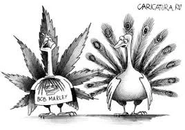 Без названия (10).webp