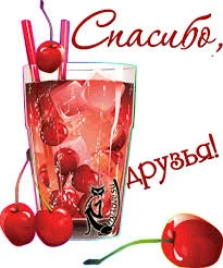 Без названия (10).webp