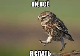 Без названия (11).webp