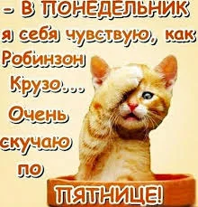 Без названия (12).webp