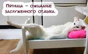 Без названия (12).webp