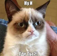 Без названия (13).webp