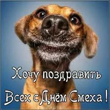 Без названия (13).jpeg