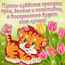 Без названия (13).webp