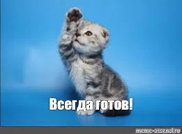 Без названия (14).webp