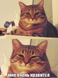 Без названия (14).webp