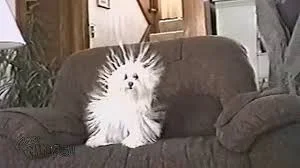 Без названия (15).webp